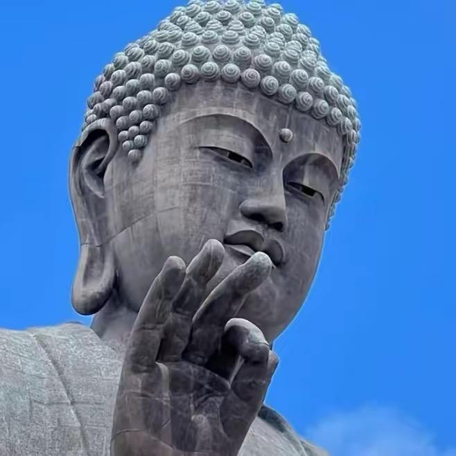 泽泽泽