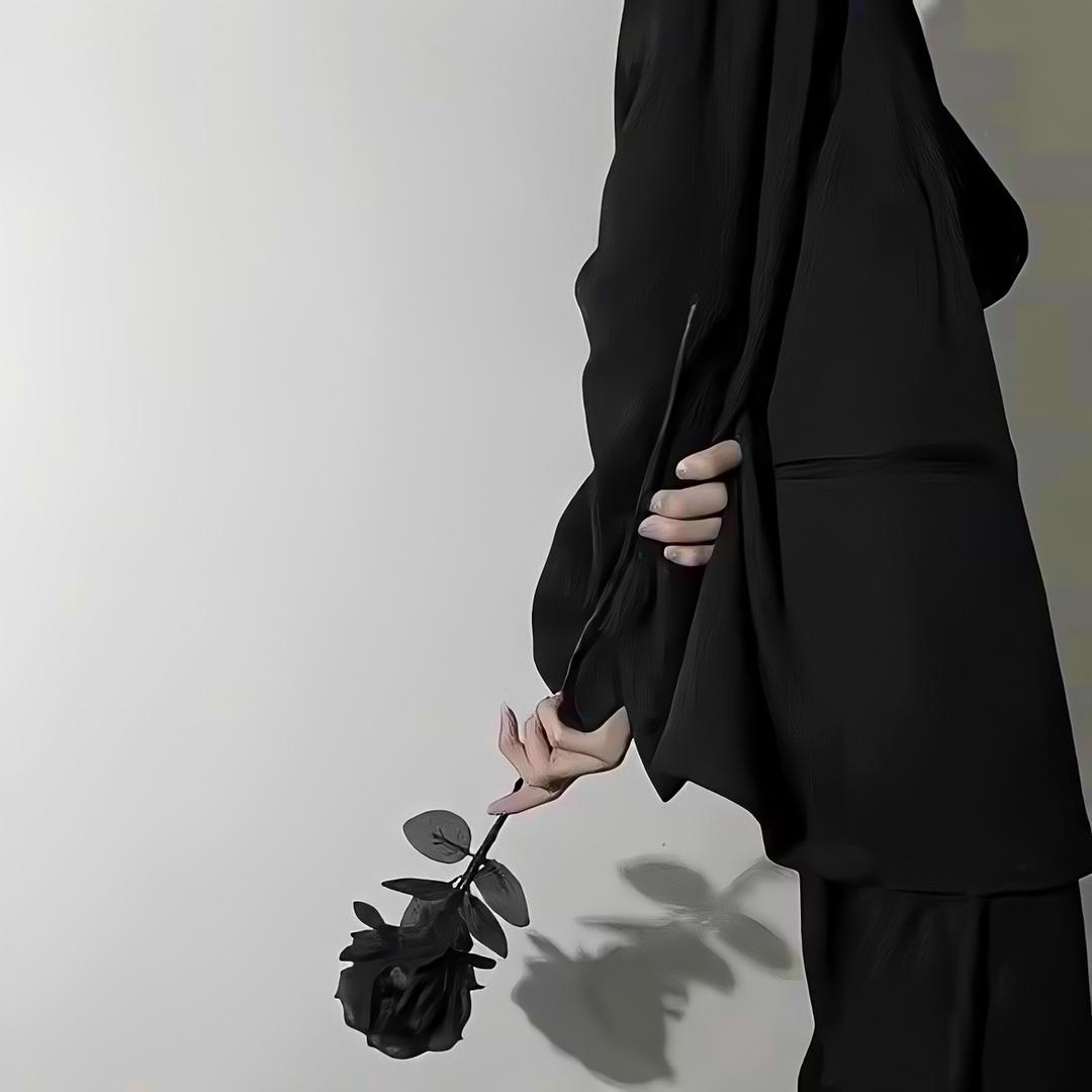 落花无情