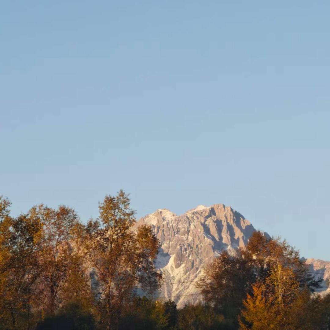 贺氏岷县精选农副产品店