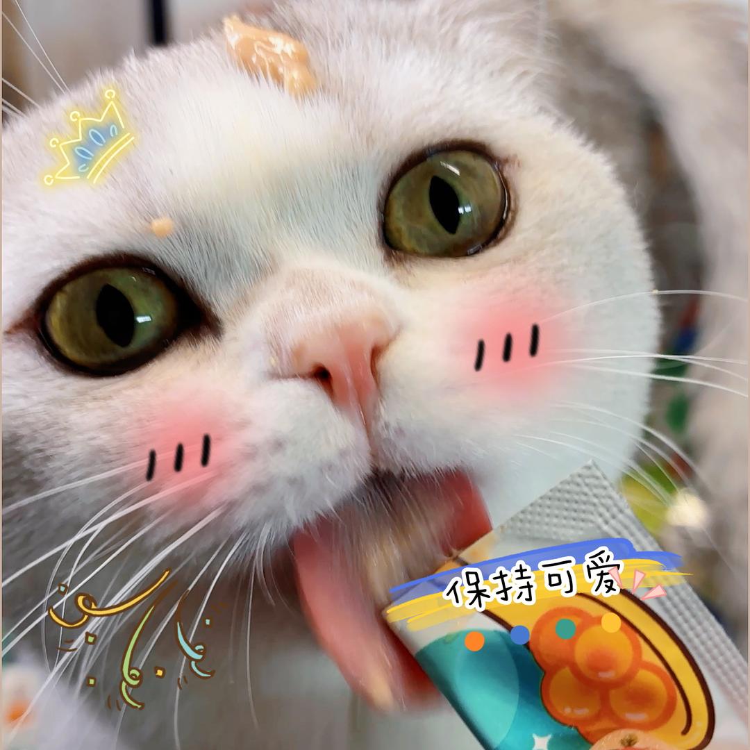小苦脸铛铛🔔