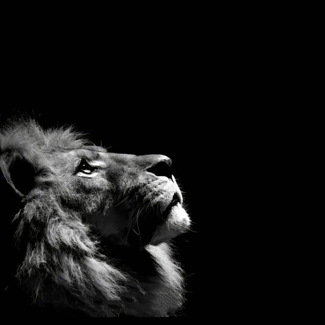 𝗝𝗨𝗦𝗧 𝗗𝗢 𝗜𝗧 .