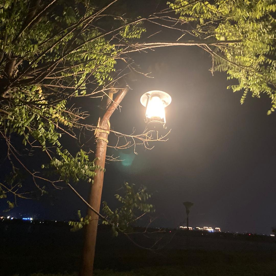 我心向阳