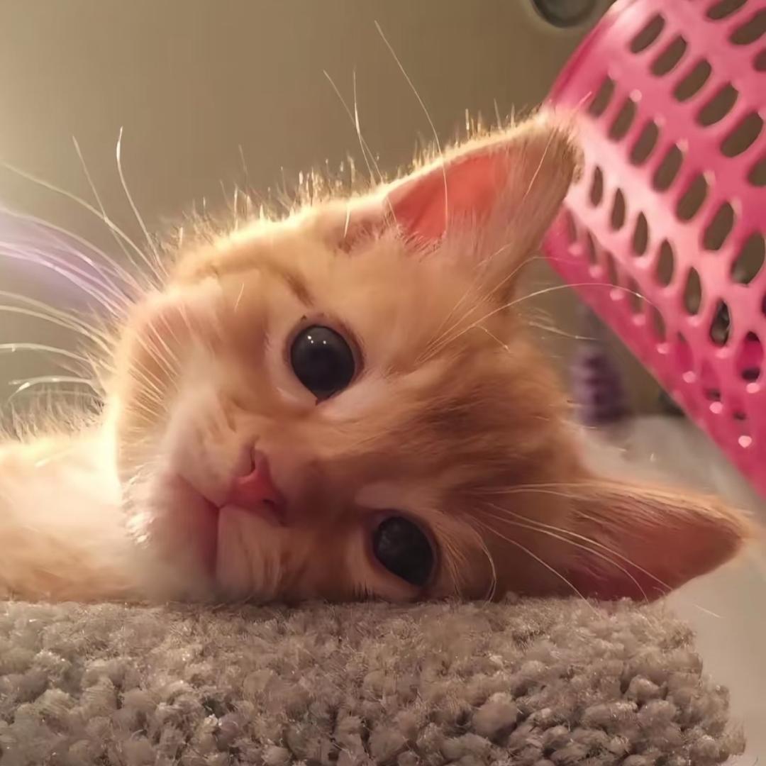 龙凤东门幼儿园