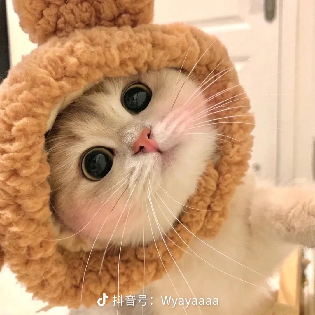 八方莱客好物甄选