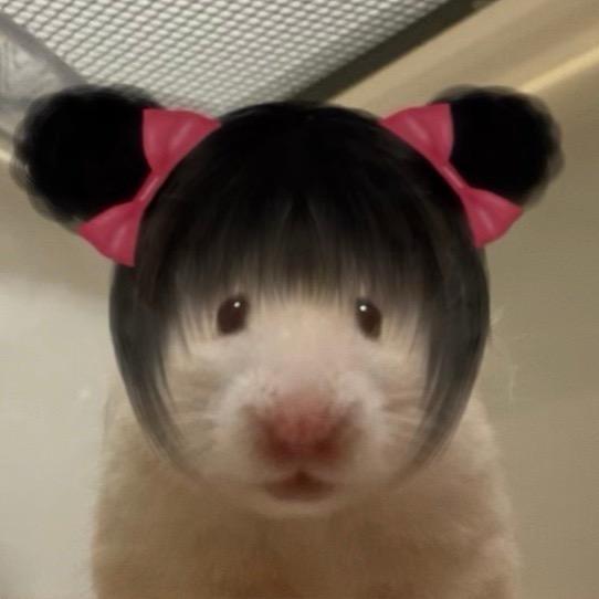 崔眠曲（上海有🎫版）