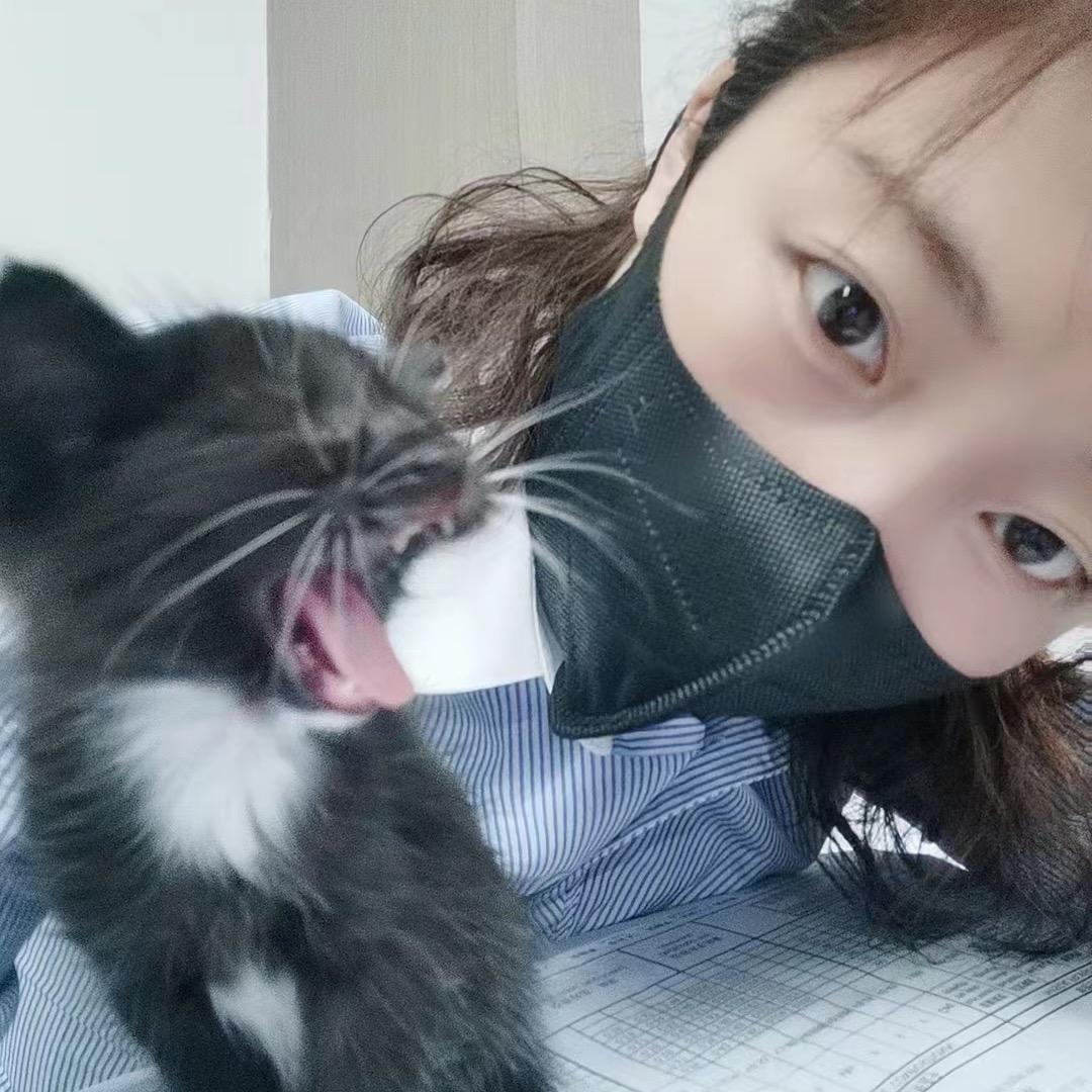 懂不懂@啥也不懂