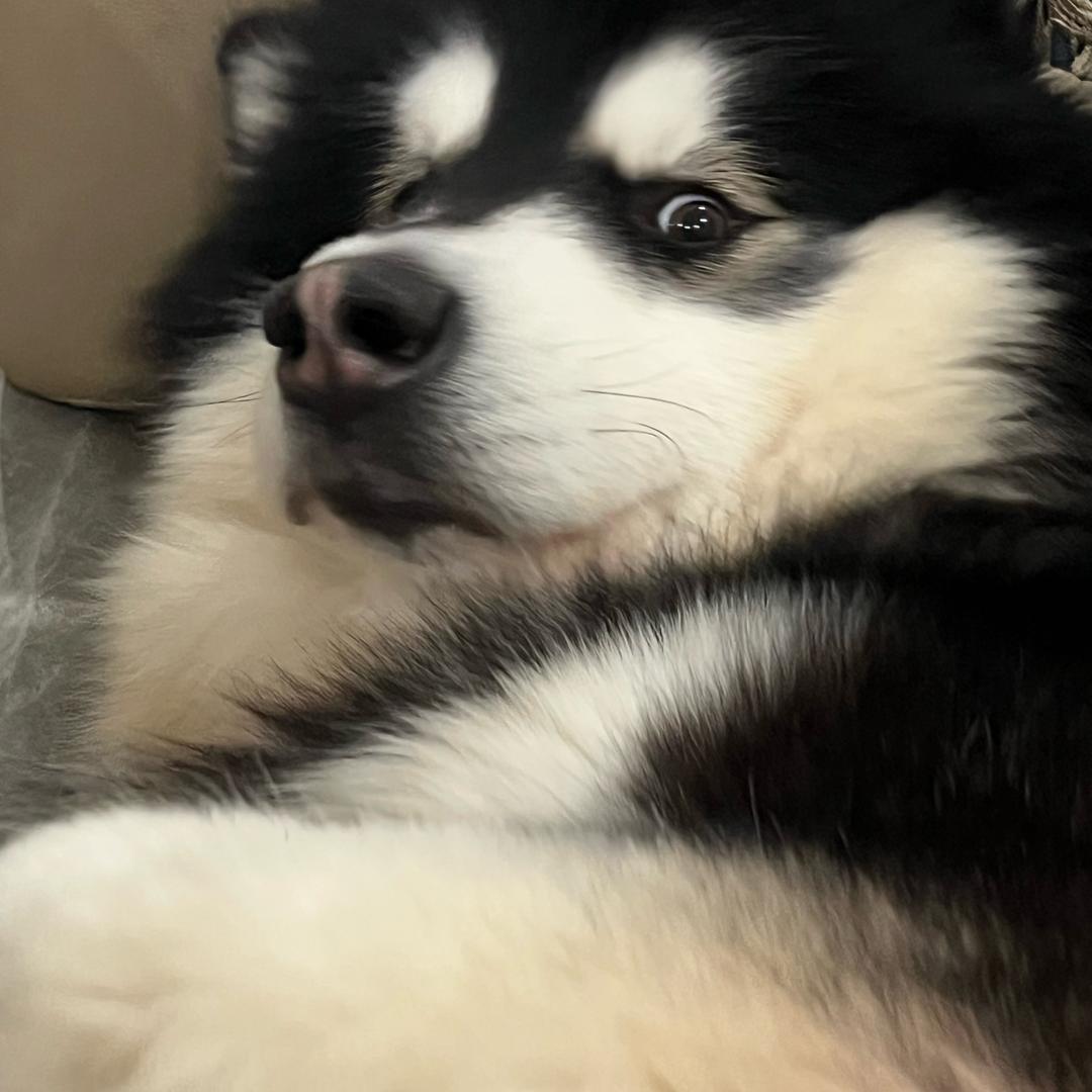 珍重。