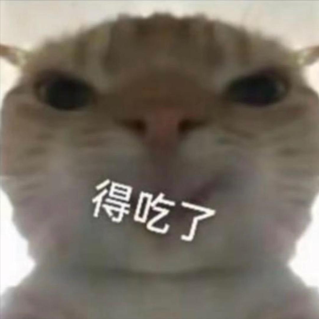 小晨（三角洲行动）