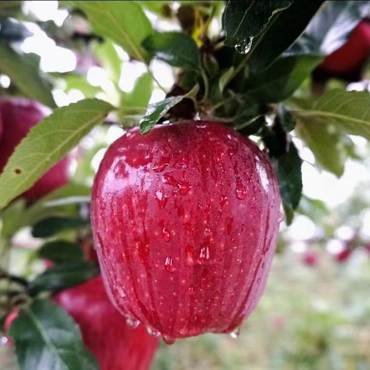 恩秀家农产品坊