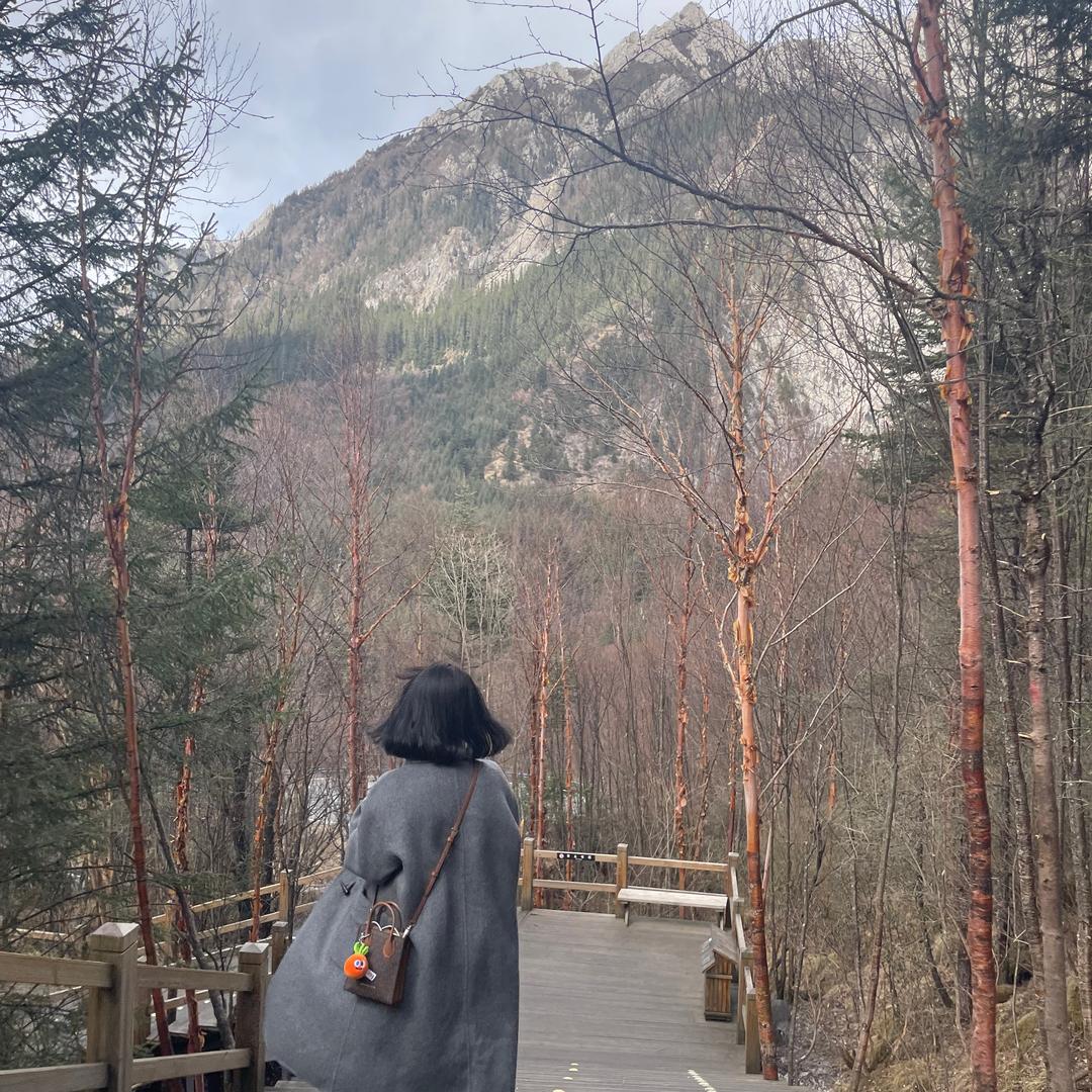 人群  烟火  🍾  🎈