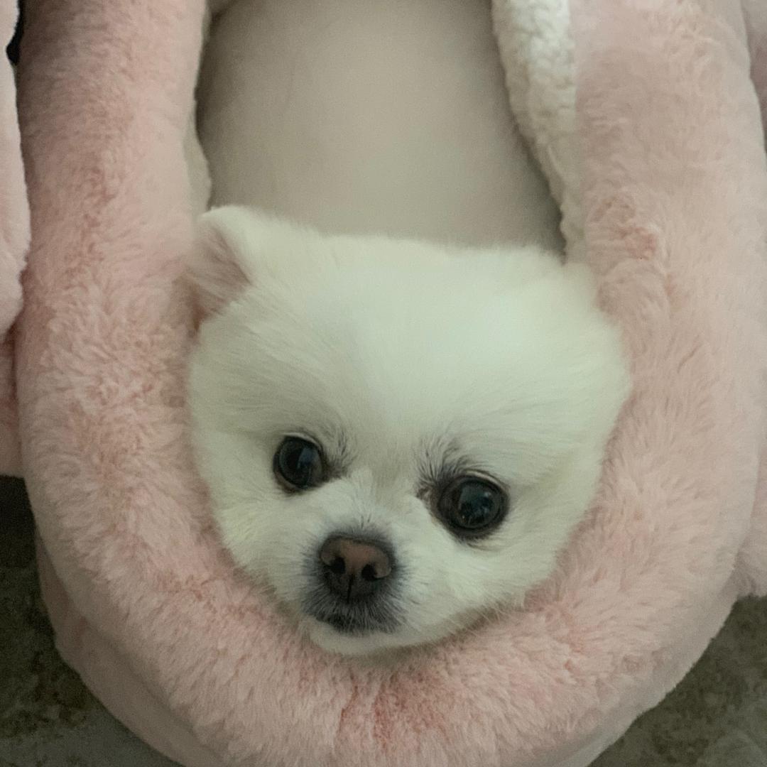 এ迷失的鲸鱼🐳 ™