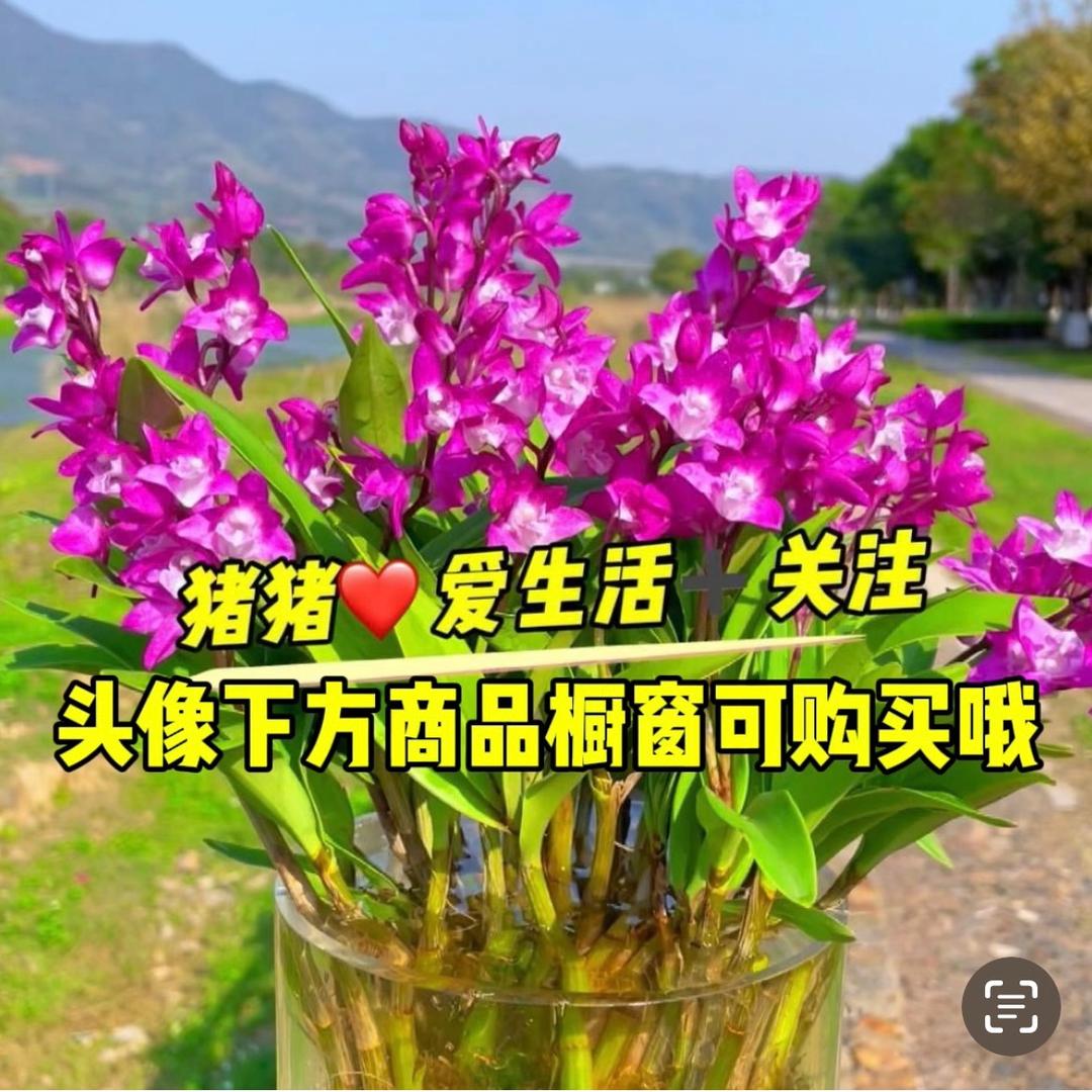 猪猪❤️爱生活