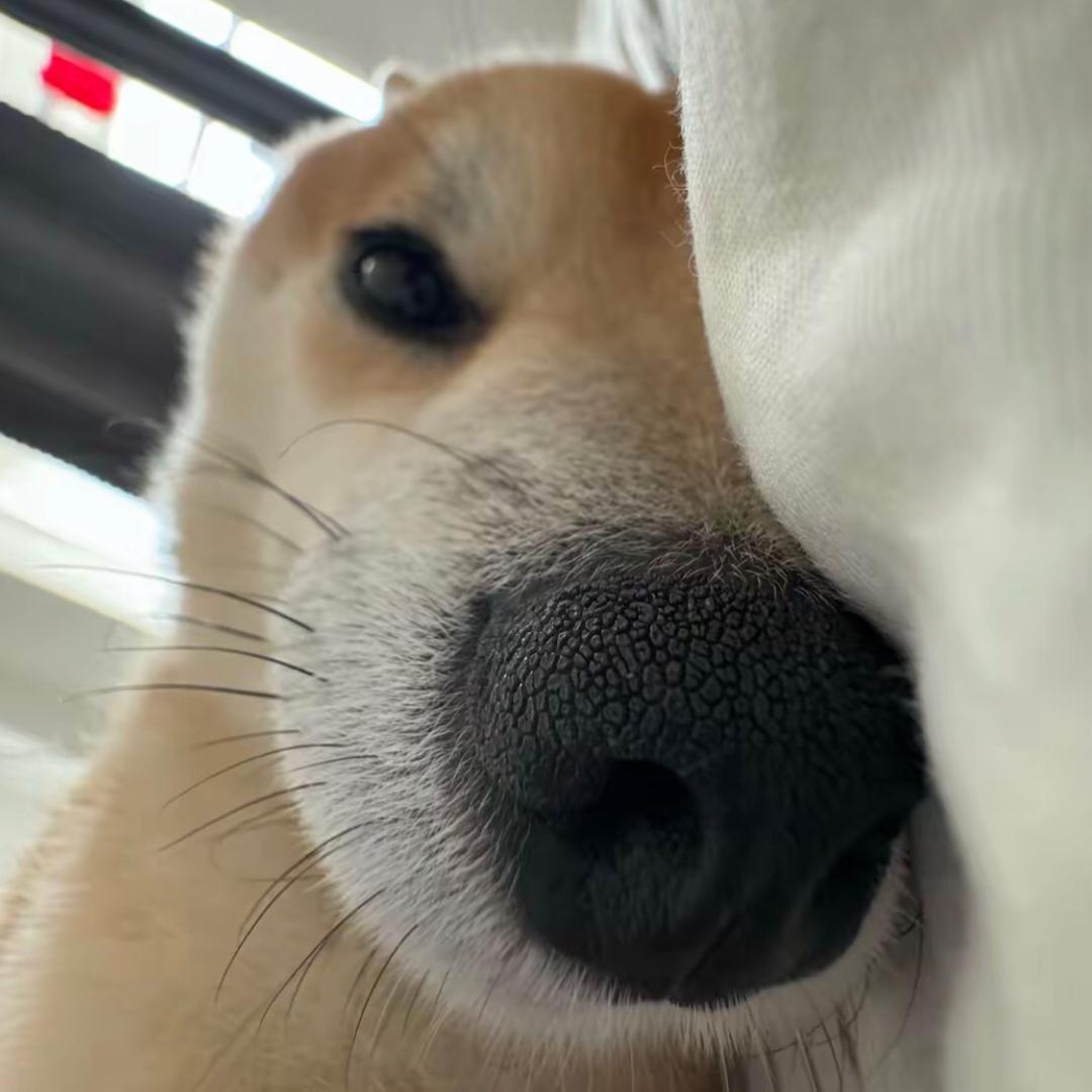 我叫烟仔