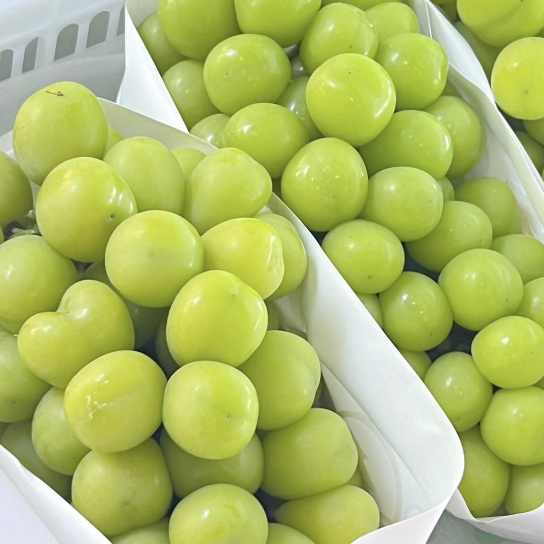 老魏家精选水果