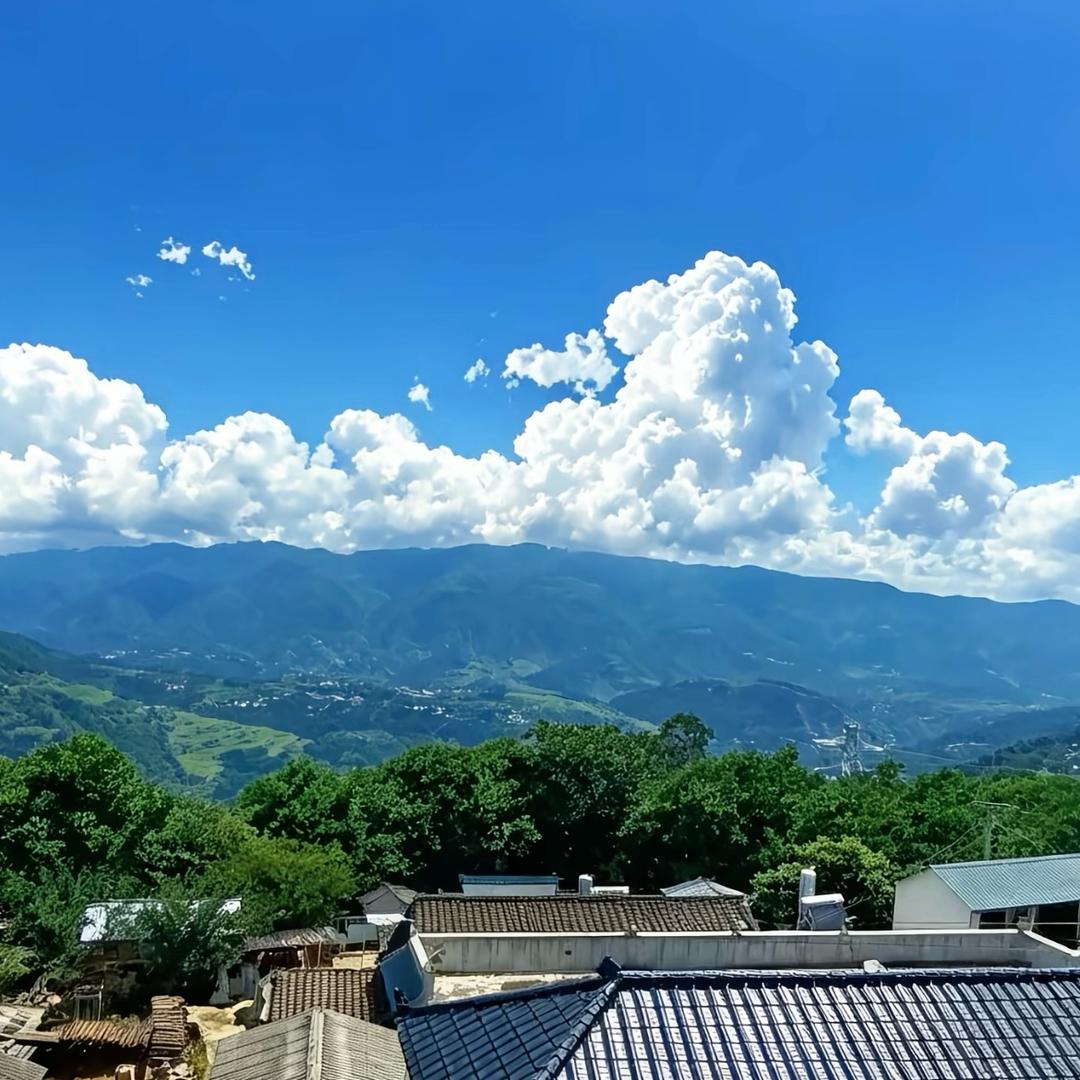 濯水头像