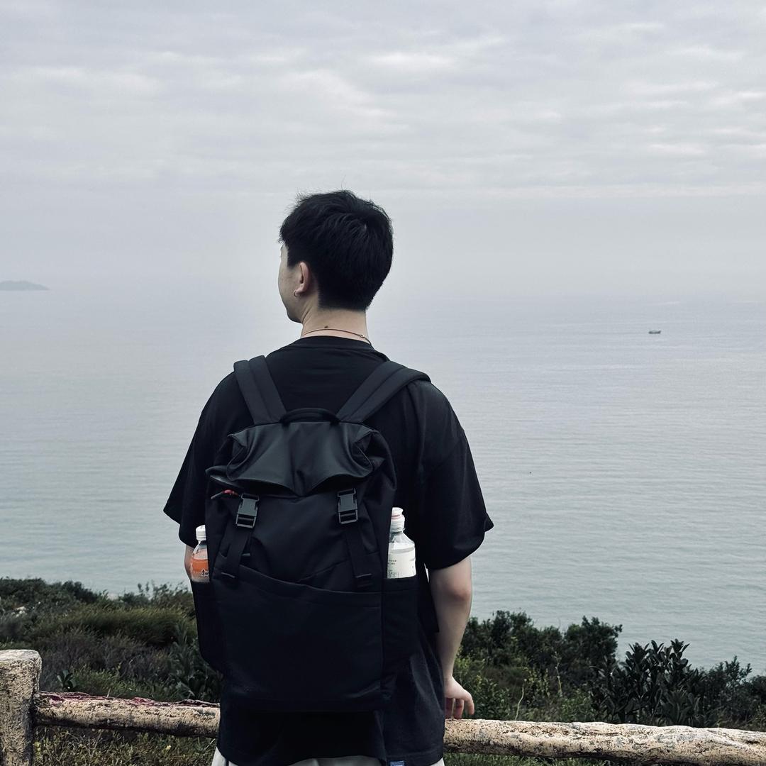 正经的摸鱼