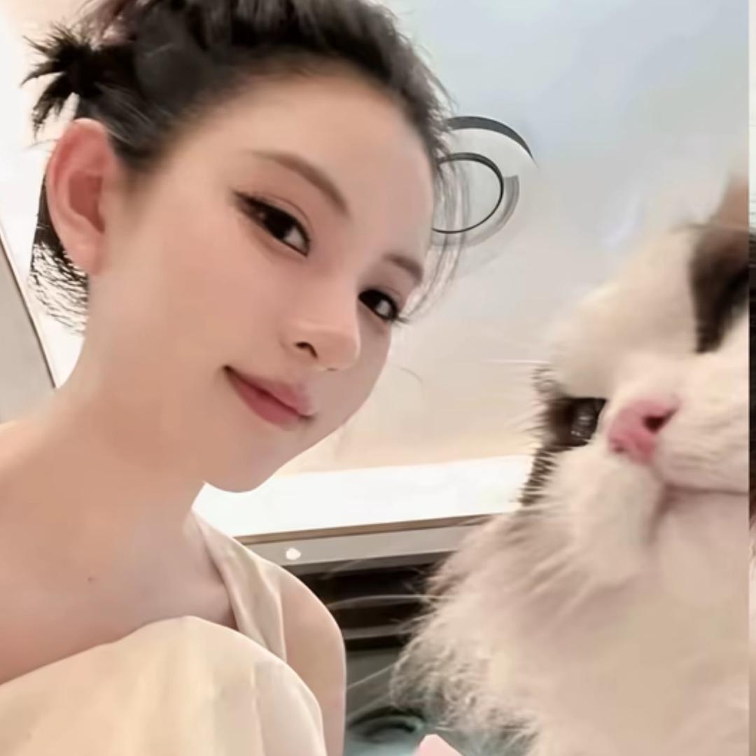 谁的茉莉-