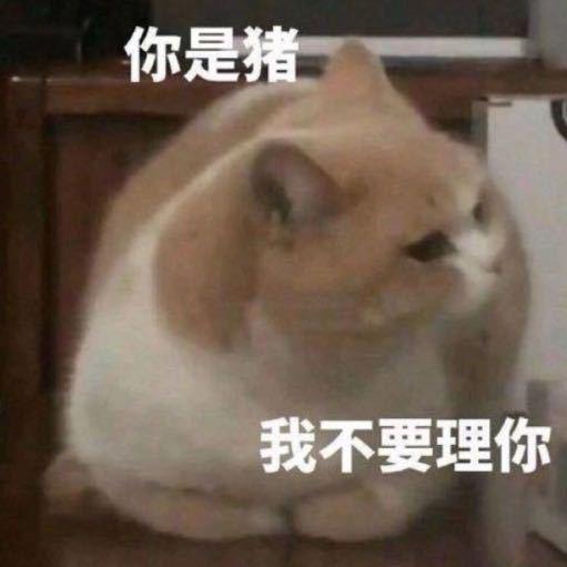 俺想出去玩