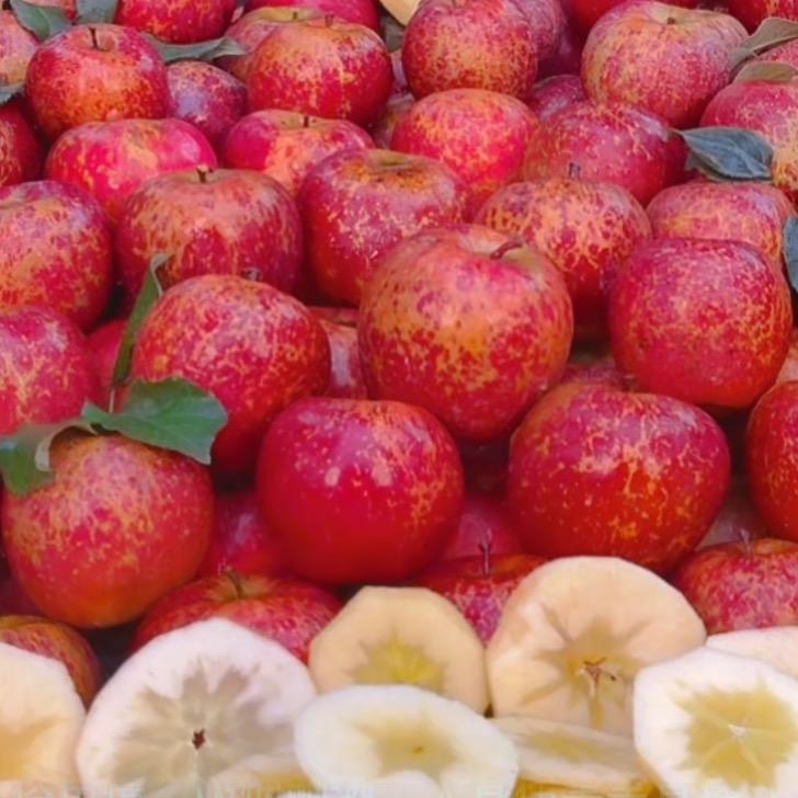 老树冰糖心丑苹果