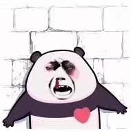 圆滚滚的滚