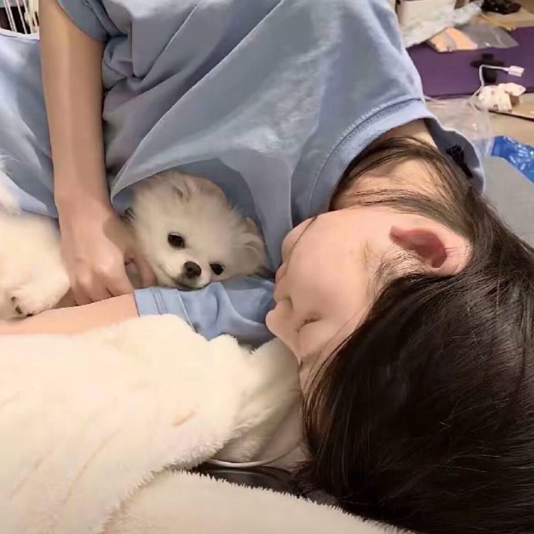 晚睡小狗