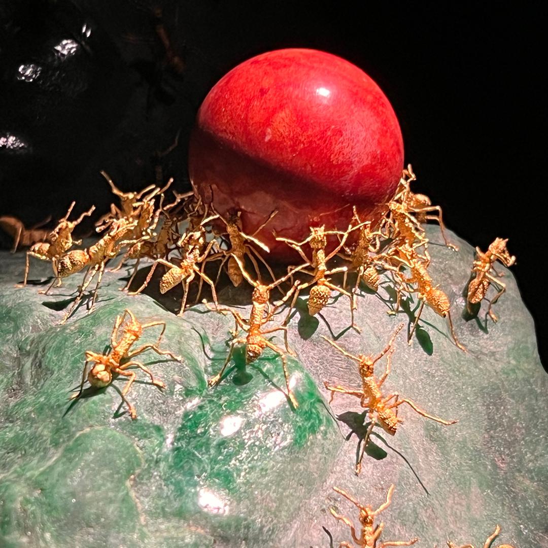 草莓🍓爱分享