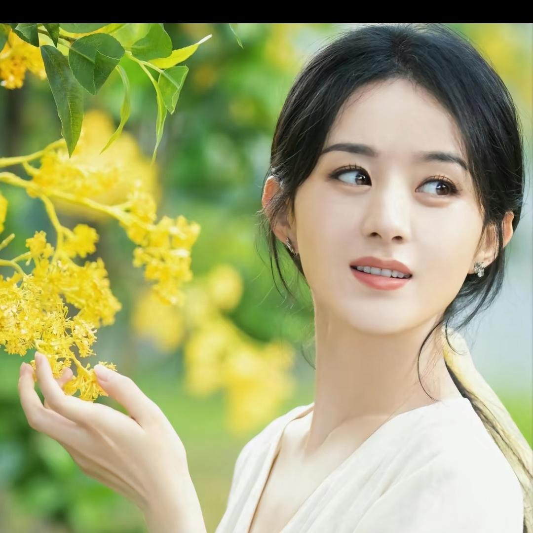 乐得自在jh