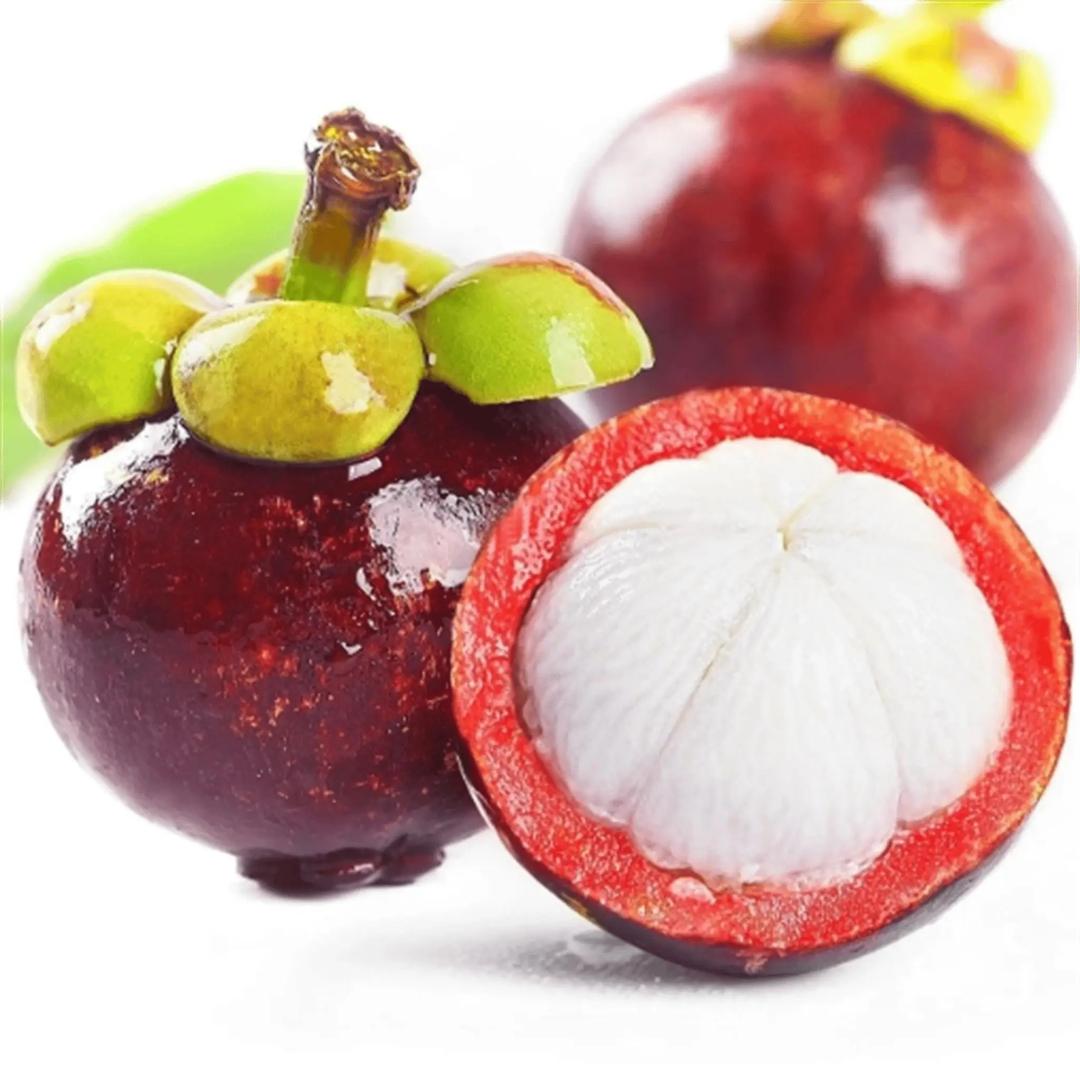 小时达主播梅梅