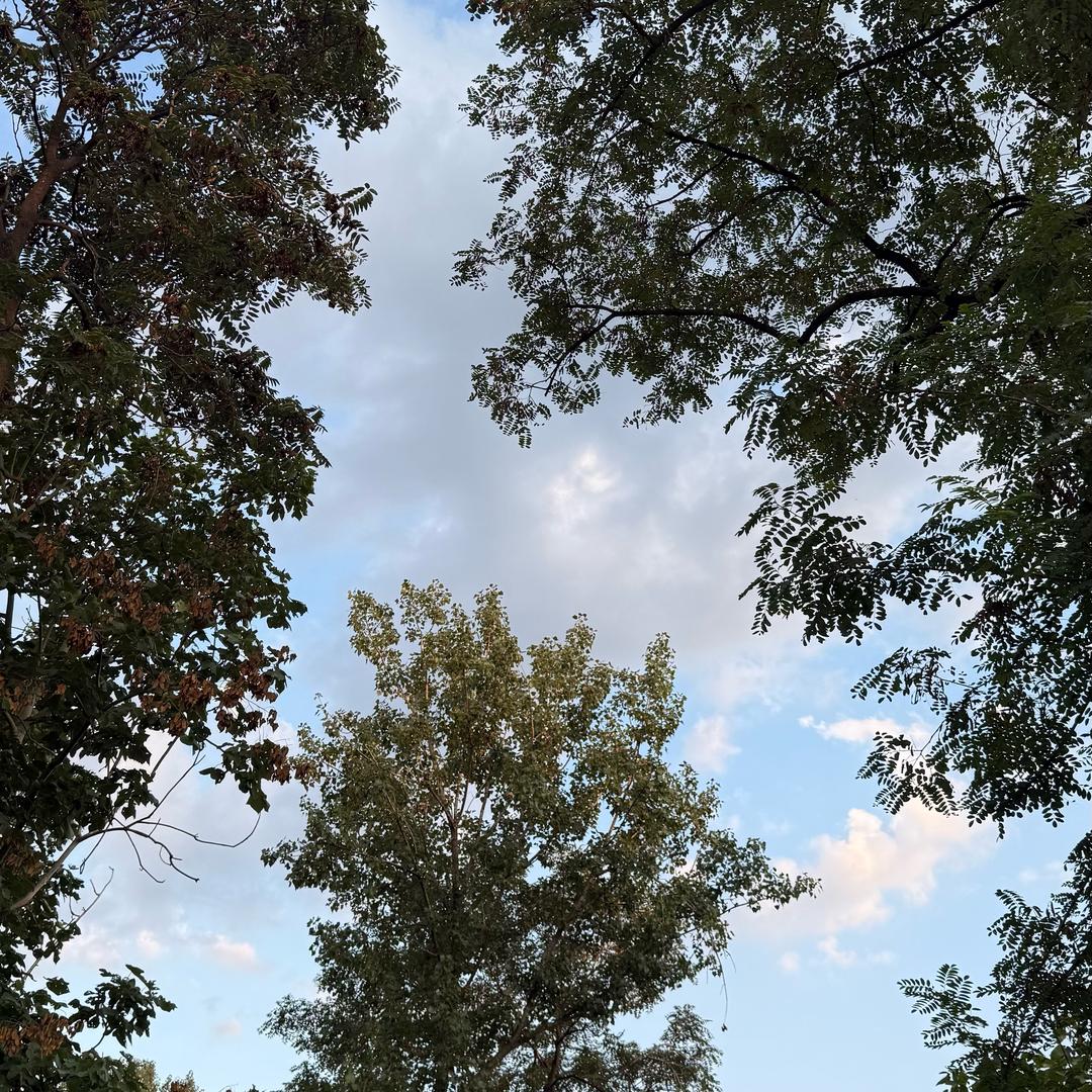 东楠科技洋洋得亿