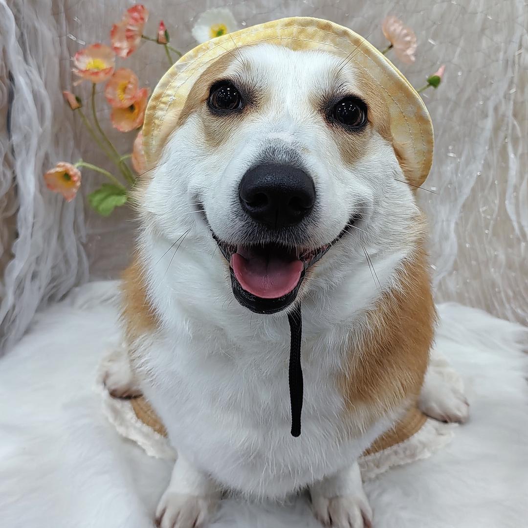 浓浓🐢