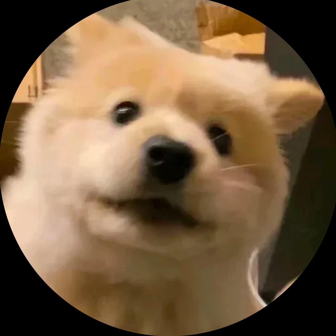 稍稍迟