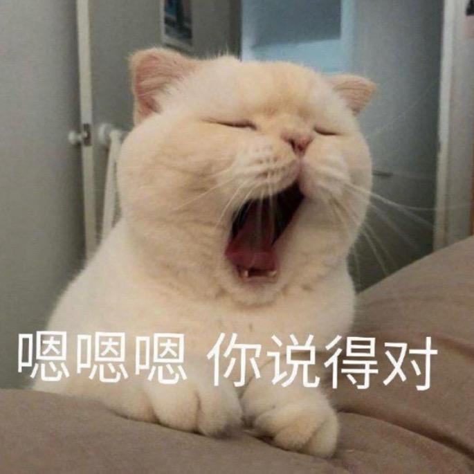 猫粮都输光