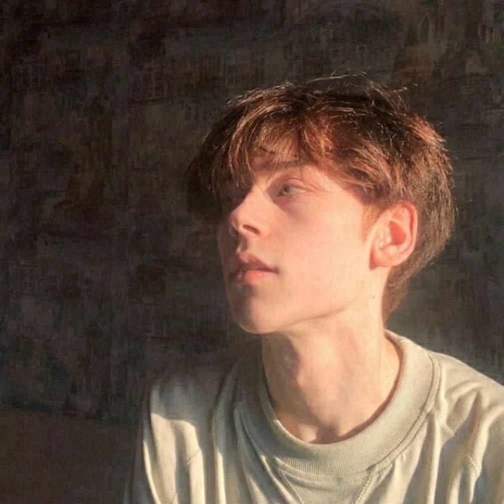 Aurora 春生野🍃