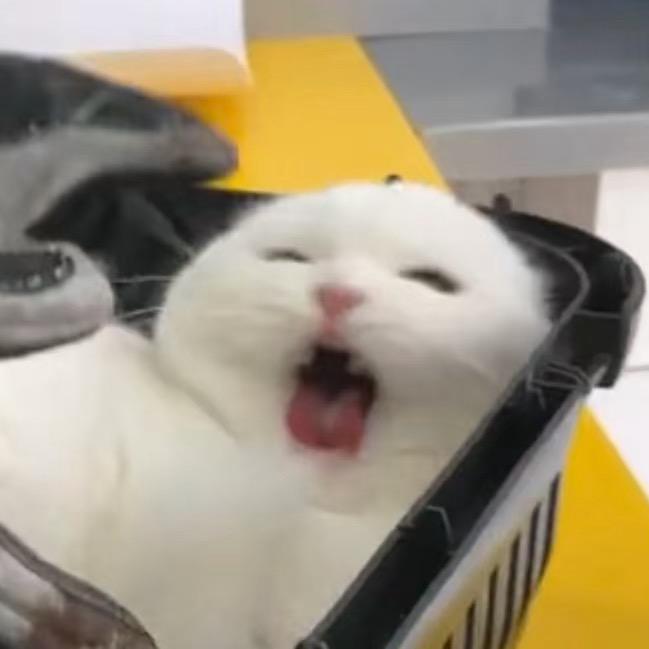 欧包