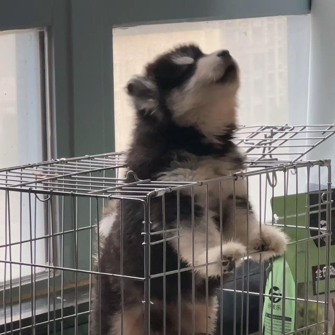 又见