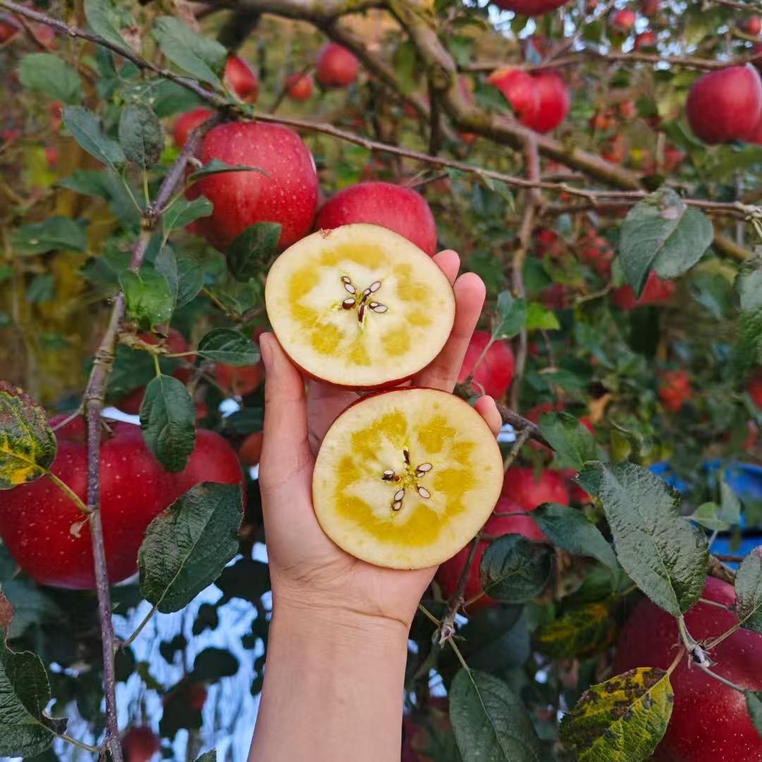 果襄园家庭农场