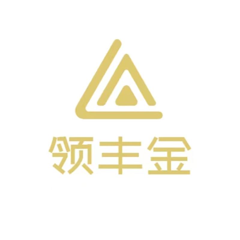 领丰金西藏领丰电子商务有限公司专卖店