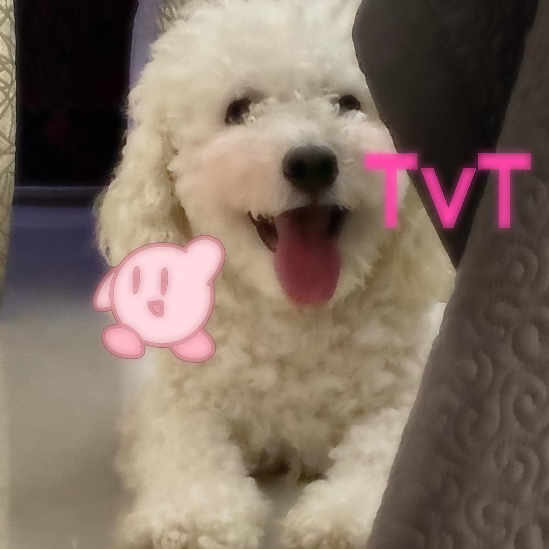 我是脆皮