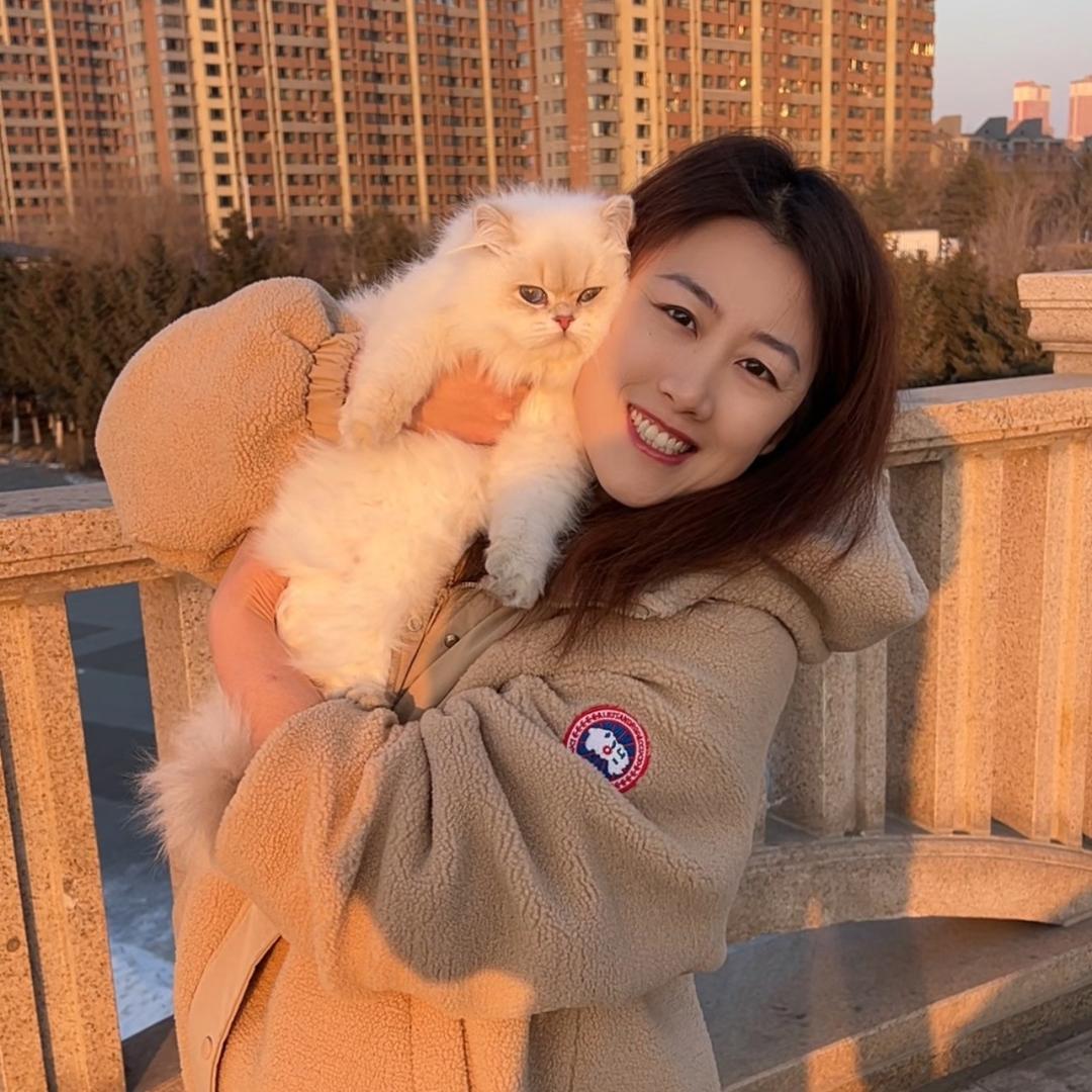 养一群猫的鸟姐