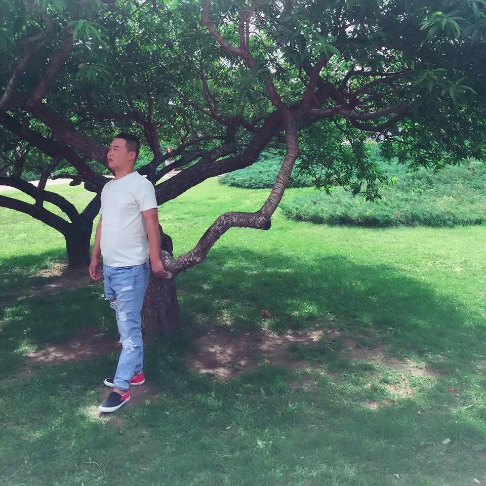 大大大大鹏鹏鹏鹏