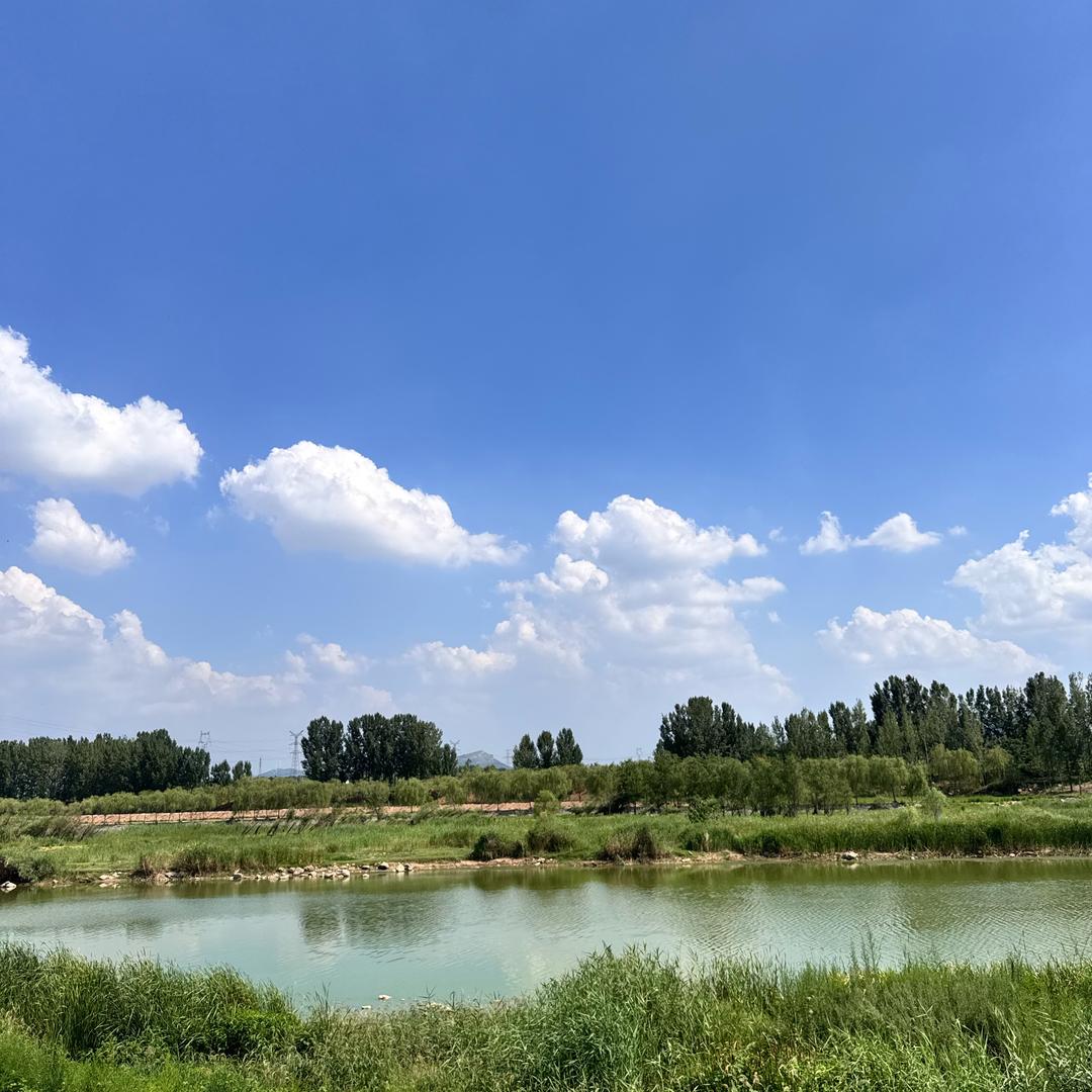 王老师