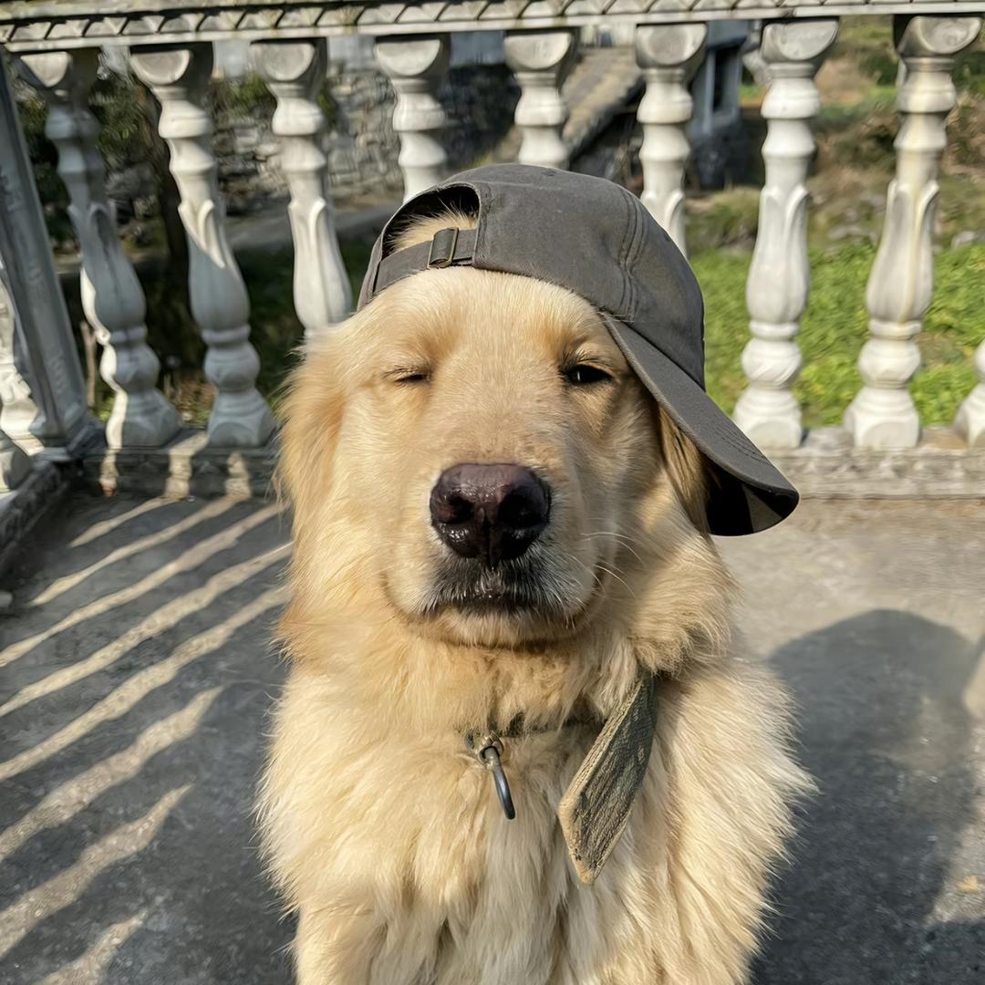 今天是个好天气☀️🌻