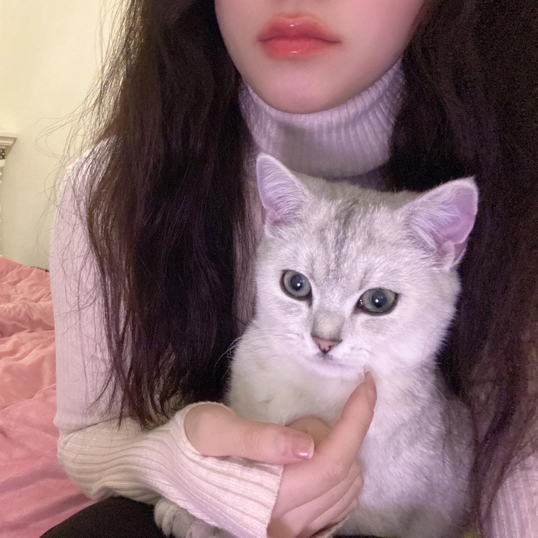 凤梨子