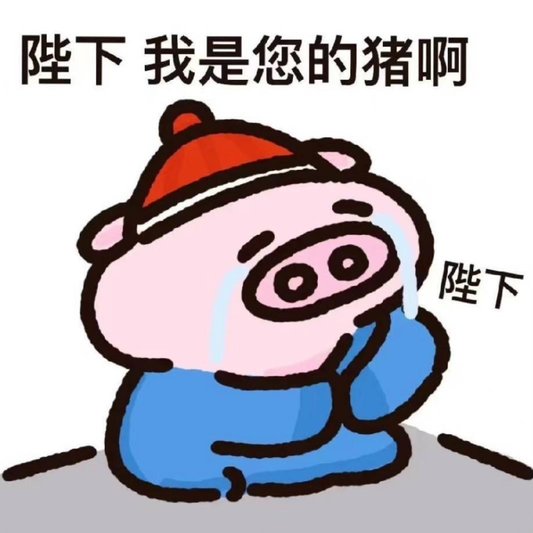 疯狗大队团队核心