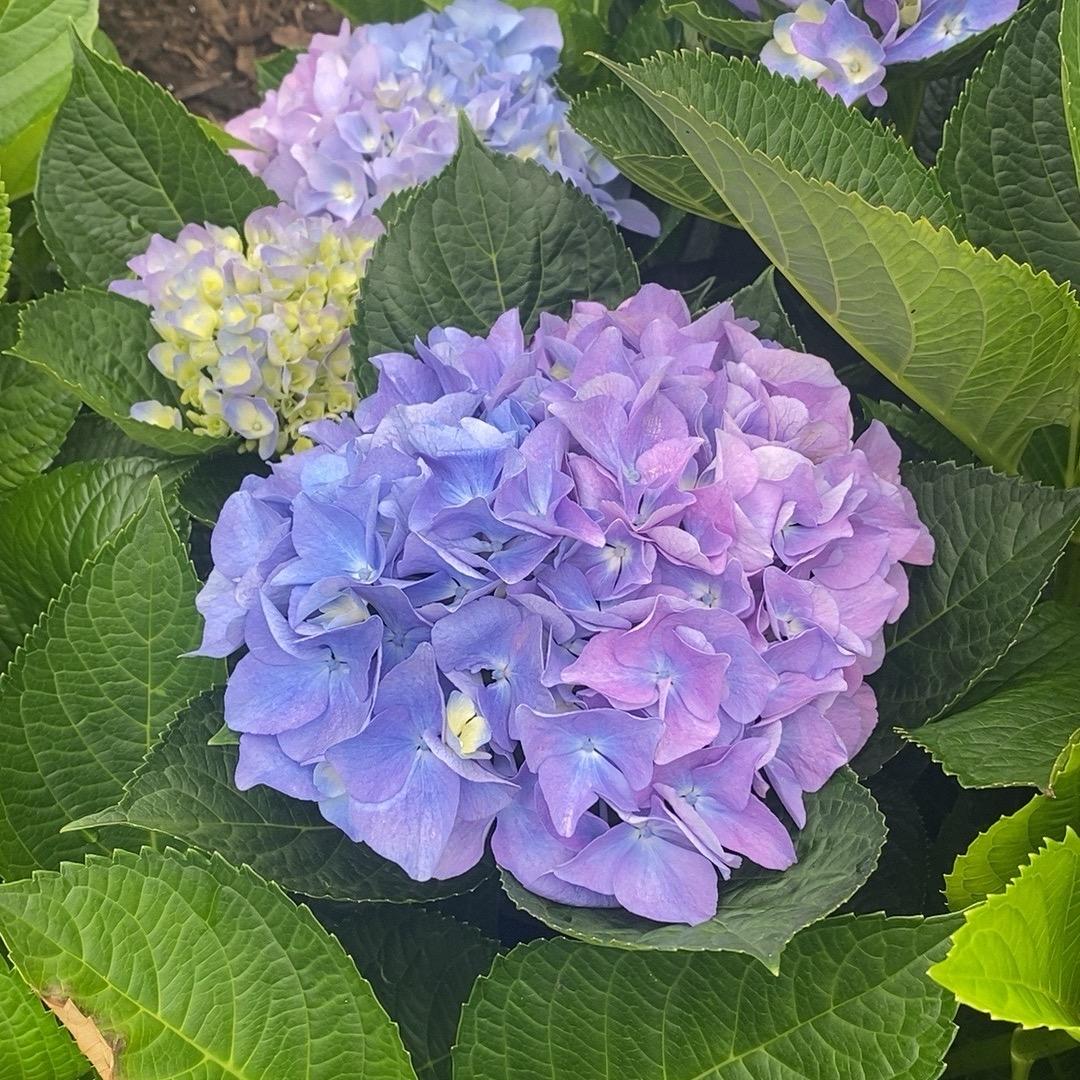 @以沫@