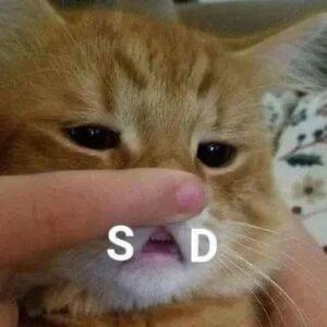 960916