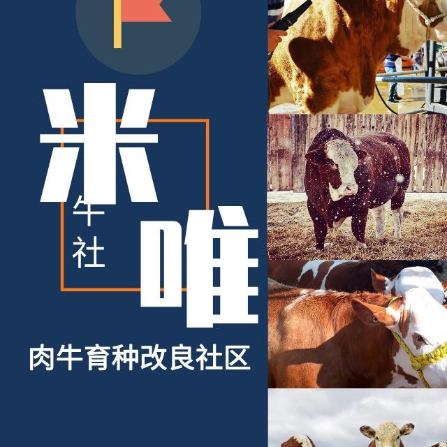 米唯牛社