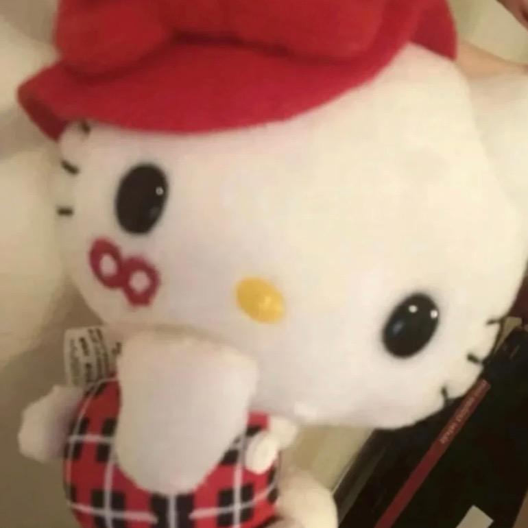 小杨不是羊💤