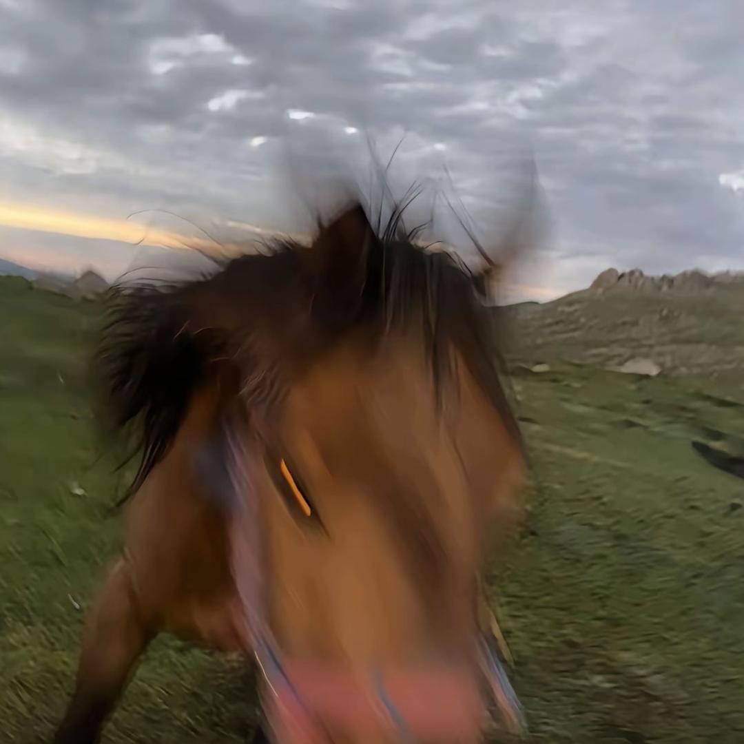 钟你一拳头👊🏽