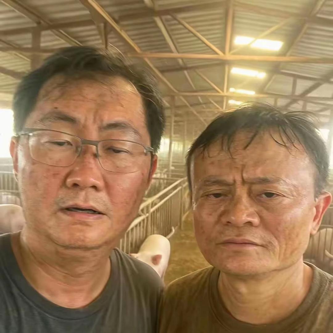 鸽武升平